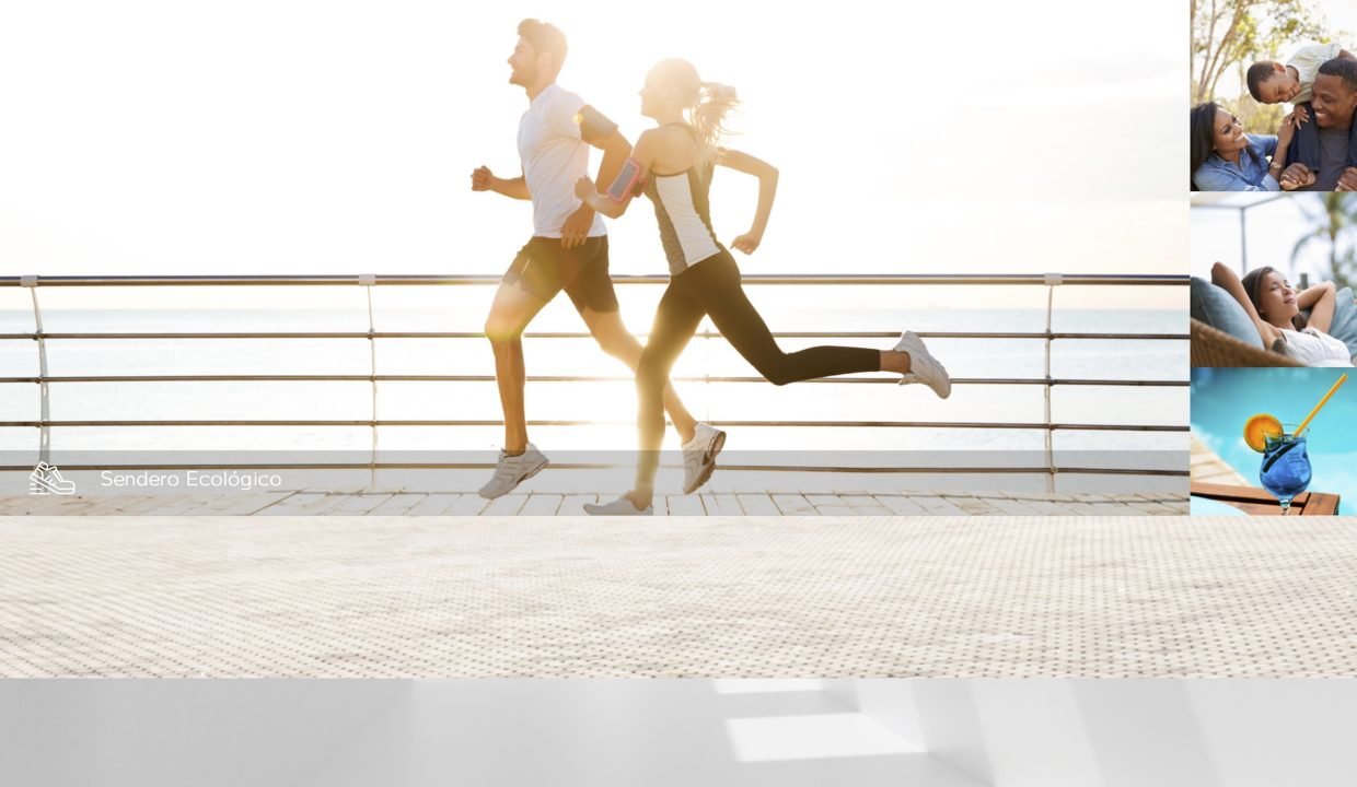 PROYECTO PUNTA CANA - IMG 01